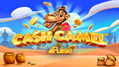 Cash Camel logo